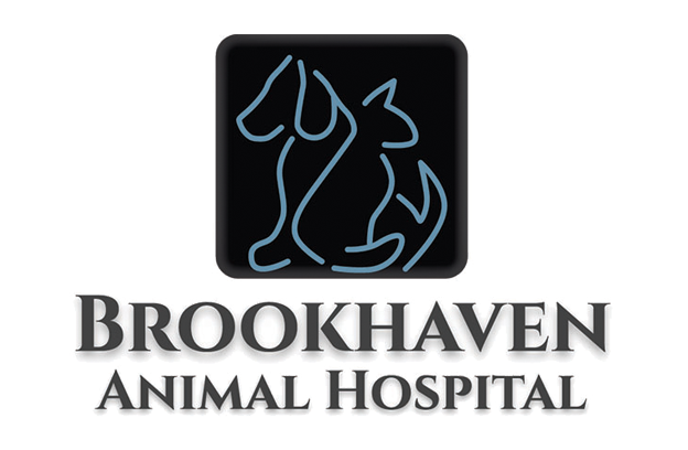 Family Pet Hospital in Sandy Springs, GA - Brookhaven Animal Hospital